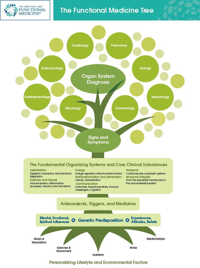 Functional Medicine addresses